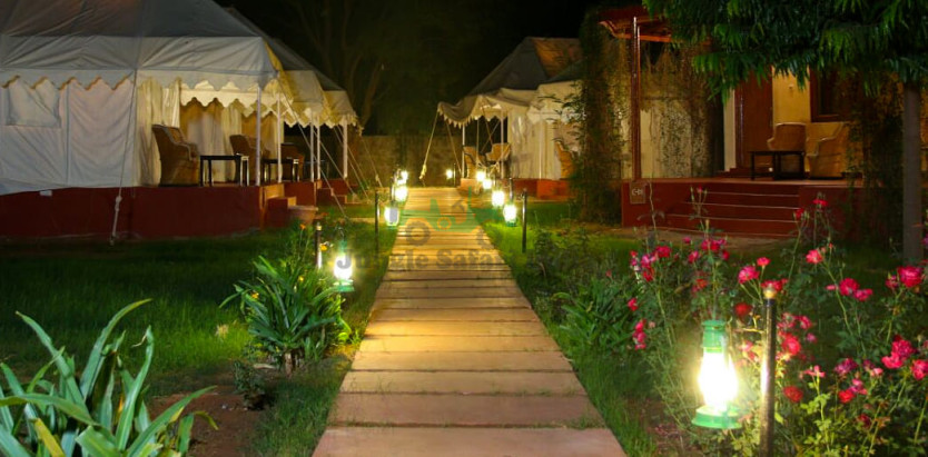 Jungle View Resort Ranthambore